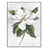 Flotteur blanc
