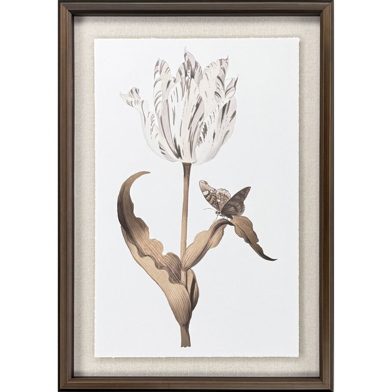 Gilded Tulip - Grace Print by Marrel Paragon
