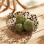 Metal Decorative Bowl