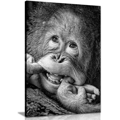 Smiling Monkey Close up 1 Piece Wrapped Canvas Wall Art