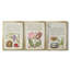 Hoefnagel Tropical Specples IX - Toile tendue avec châssis encadré - 3 pièces-989938482-989938483