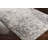Medved Abstract Indoor Rug-775761920
