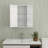Wall-Mounted Bathroom Mirror Cabinet with Adjustable Shelves
