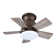 Tavontae 24'' Ceiling Fan with LED Lights