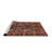 Oriental Indoor Rug-67619151
