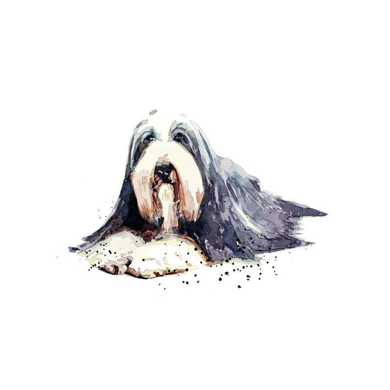 Bearded Collie I by EdsWatercolours - Wrapped Canvas Gallery-Wrapped Canvas Giclée, Wrapped Canvas, 12" H x 8" W