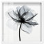 Art floral bleu Midania III par Art Remedy