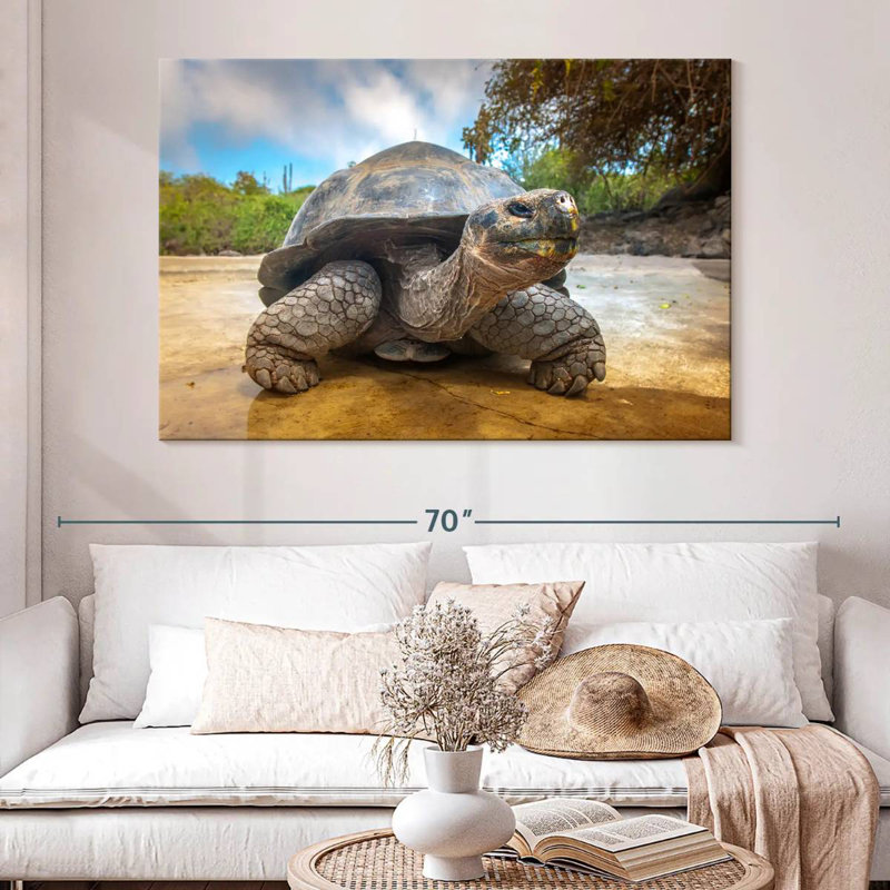 Galapagos Beach Tortoise, 34" H x 51" W