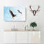 Pair Of Flying Seagulls - Wrapped Canvas-56632536