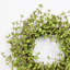 Mini couronne d'eucalyptus 22 po