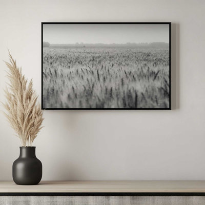 «Wheat in Summer BW» par Nathan Larson, reproduction d'art