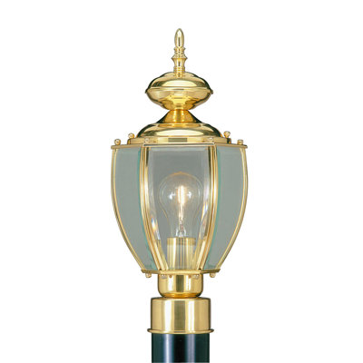 Arelene Lantern Head