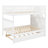 Bunk Bed With Trundle And Staircase-137961999