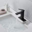 Robinet de lavabo de salle de bain à poignée simple avec drain escamotable (avec trop-plein)-115721160