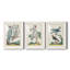 Pastel Birds I Premium encadré mat - prêt à être accroché-137515664-137515671