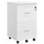 Chandrine 45 cm W 2 -Drawer Filing Cabinet