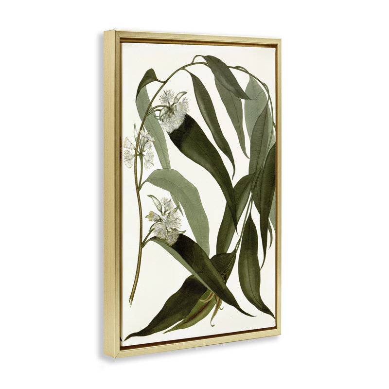 Fleur courbée aux herbes sauvages, Cadre flottant gris lustré, H 25 po x l 17 po