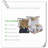 Quilts Machine Woven Quilt Set-101256729