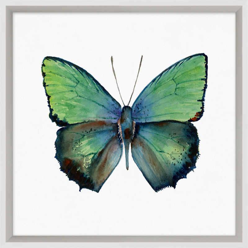 Butterfly Study 1' Framed Graphic Art Print on Glass