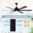 Cathreen 65'' Ceiling Fan with LED Lights