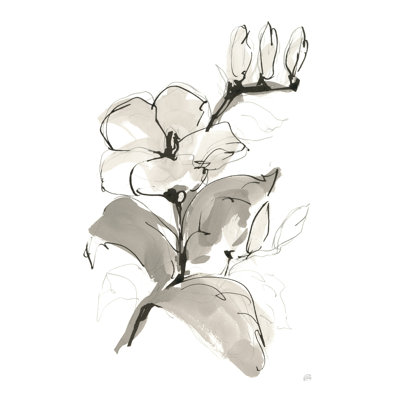 Magnolia II