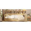 Lit de jour en bois avec tablettes de rangement, lit gigogne et bureau d'étude-282518154-282518156