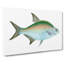 Bream Fish by Edward Donovan - Wrapped Canvas-55361817