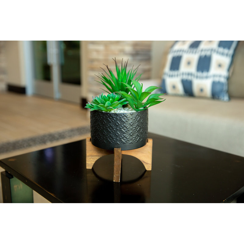 Holman Ceramic Pot Planter, Matte Black
