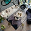 Table basse Corinthian (L)