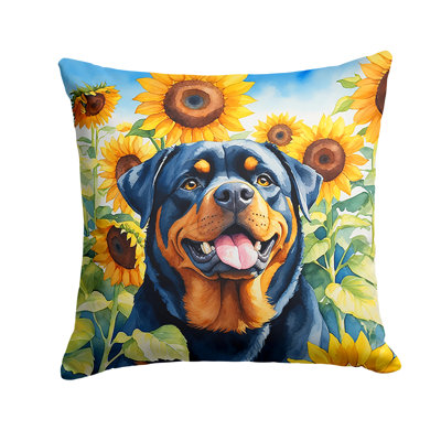 Other/No Pattern Indoor/Outdoor Throw Pillow