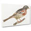 Bullfinch by Johan Teyler - Wrapped Canvas Painting-55362896