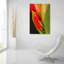 "Amaryllis" par Pamela Plummer-692713287