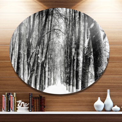 " Snowy Forest Black And White "