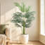 160cm Plant