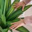 Maïs artificiel 4,3 pi Dracaena Fragrans en pot décoratif en céramique blanche-571941259-571941257