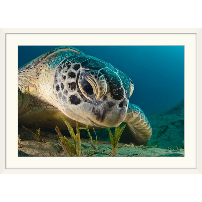 « point de regard » par dmitry marchenko, reproduction de photo, Cadre blanc, H 24 po x l 32 po x P 1 po