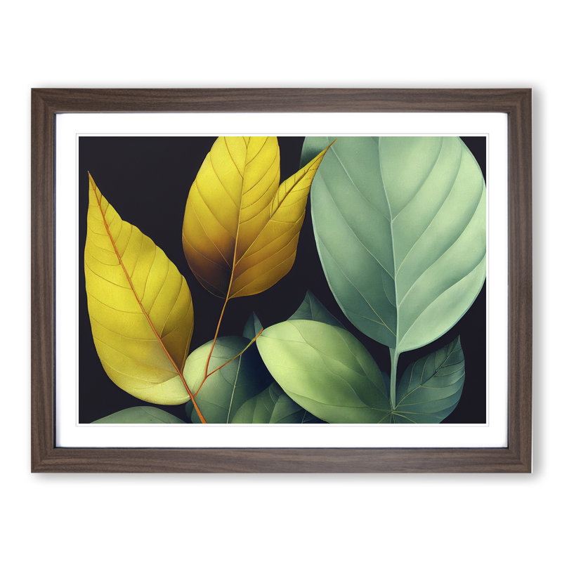 Victorious Leaf - Framed Print, 25cm H x 34cm W x 2cm D, Walnut