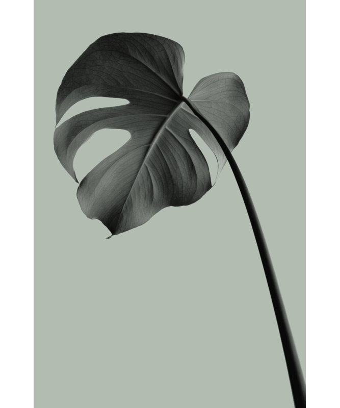 Wrapped Canvas Print, 121.92 cm H x 81.28 cm W
