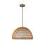 Luminaire suspendu moderne 1 lumière 16-en-1 Verbana-95320108