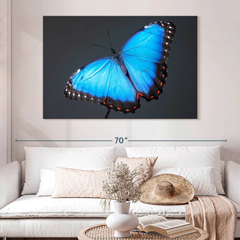 Brampt Blue Morpho Butterfly, 34" H x 51" W