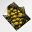 Tapisserie murale «Fruit Quince»-133648490