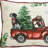 Toile Reversible Cushion Pad