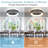 Sciotodale 18.5'' Ceiling Fan with LED Lights