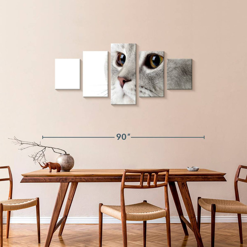 Chat gris moelleux, H 34 po x l 74 po