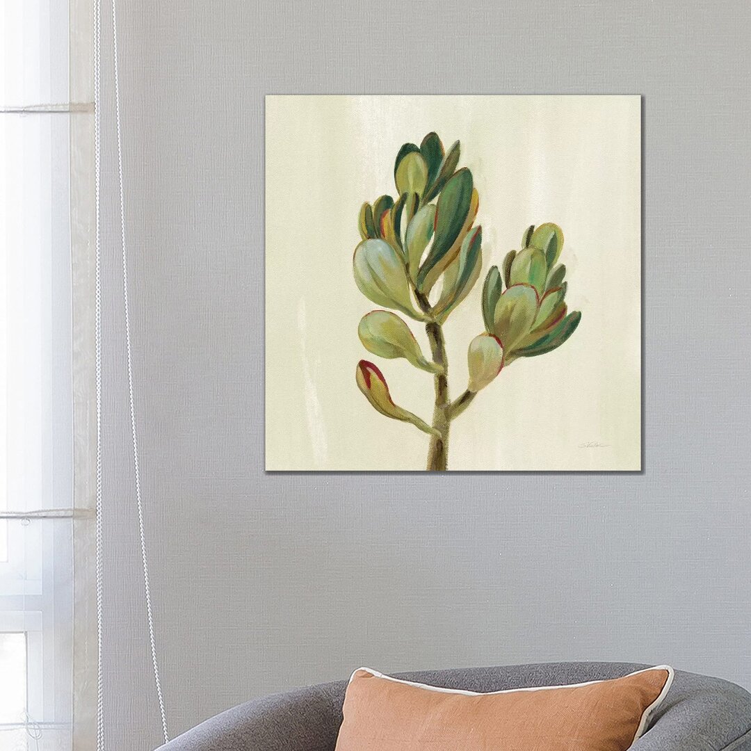 Front Yard Succulent II von Silvia Vassileva - Galerie-umwickelte Leinwand Giclée auf Leinwand