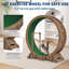 Cat Cage / Crate-1490757874