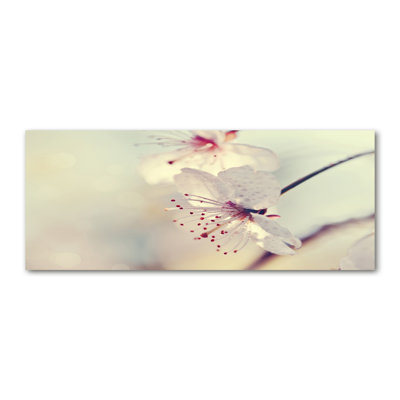 Cherry Blossom - No Frame Print on Canvas