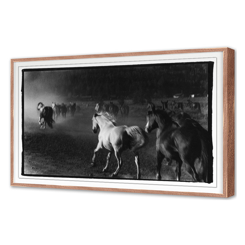 Hoof Dreams Print by Raab, Amy, 30'' H x 45'' W, Walnut Single Picture Framed