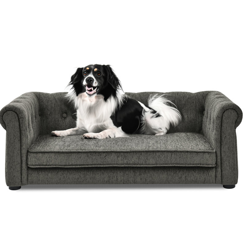 Lit élégant pour animaux, confort pour chiens de taille moyenne et grande, construction moderne, matériau, Gris foncé