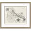 Malaberica Etching II Print
